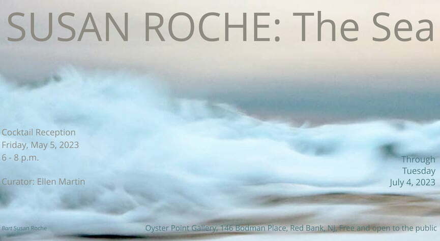 Susan Roche: The Sea